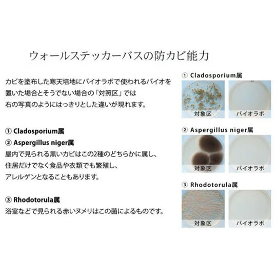 バイオラボ 防カビ & 消臭ウォールケース バス ホワイト お風呂 貼るだけ 日本製 bio labo