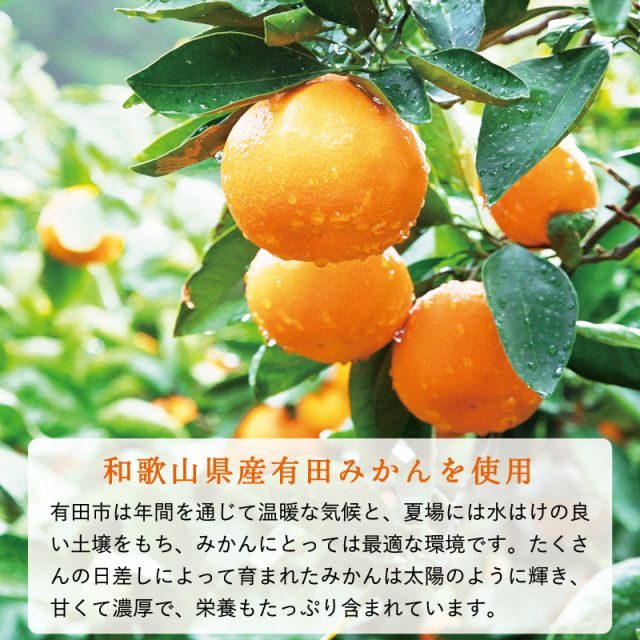 果樹園のなめらかみかんジャム（L）260g　1個