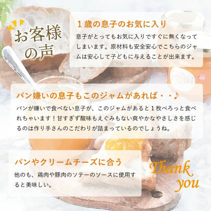 果樹園のなめらかみかんジャム（L）260g　1個