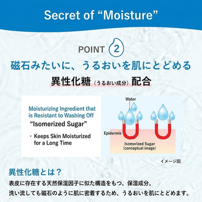 肌ラボ 極潤 ヒアルロン泡洗顔 160mL｜高保湿 泡タイプ 洗顔フォーム ヒアルロン酸配合 無香料 日本製 Hada Labo