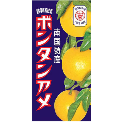 セイカ食品 ボンタンアメ 14粒×10箱セット | 大正14年誕生 鹿児島の伝統ロングセラー名菓 南九州産ボンタン果汁使用 もちもち食感 レトロ駄菓子 日本のお菓子 まとめ買い