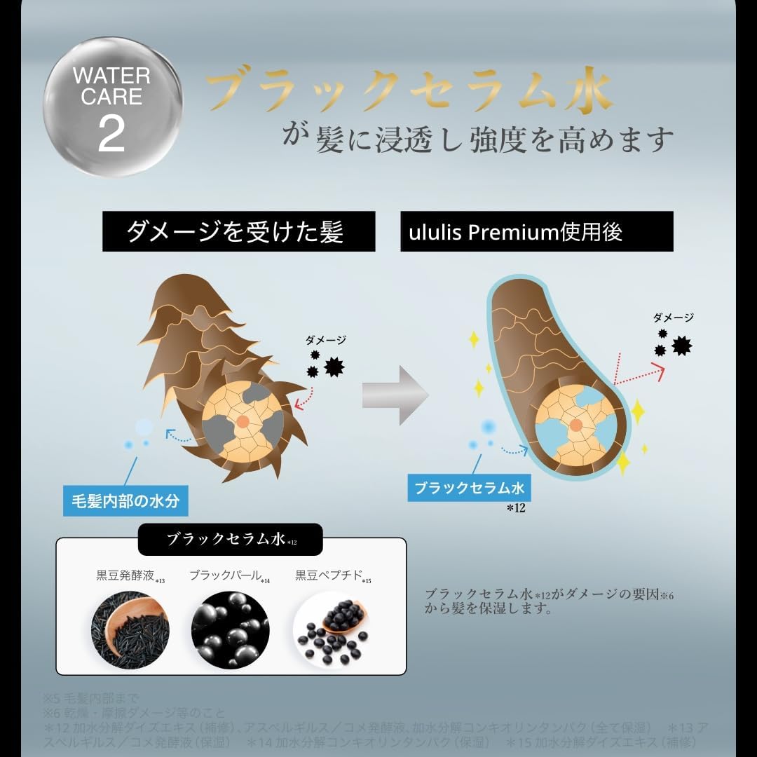 ululis ウルリス プレミアム ウォーターコンク ブラックセラム ヘアオイル 100mL｜保湿 ダメージケア ツヤ髪 うねりケア アウトバスヘアオイル 日本製
