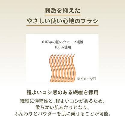 アネッサ(ANESSA) パーフェクトUV ブラッシュオンパウダー 3g SPF50+ PA++++｜メイクの上から塗り直しOK 皮脂吸着 透明感 UVパウダー