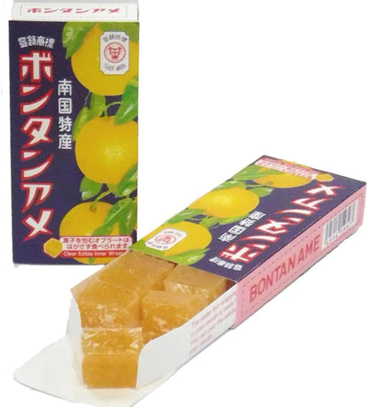 セイカ食品 ボンタンアメ 14粒入り | 大正14年誕生 鹿児島の伝統ロングセラー名菓 南九州産ボンタン果汁使用 もちもち食感 レトロ駄菓子 日本のお菓子