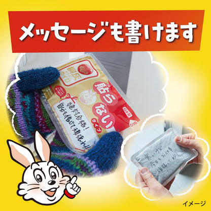 桐灰カイロ はらないタイプ 30個入｜貼らない 使い捨てカイロ 長時間発熱 防寒 冷え対策 日本製