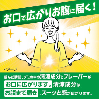 ブレスケア 噛む 息リフレッシュグミ アソート 100粒｜パウチタイプ 口臭ケア ミントグミ 携帯用 エチケットグミ 日本製 Breath Care