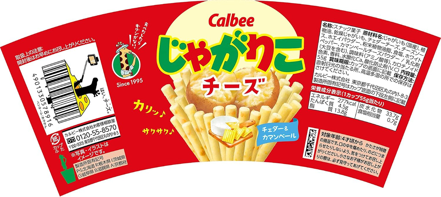 カルビー じゃがりこ 定番3種アソート 9個セット（サラダ・チーズ・じゃがバター 各3個） | まとめ買い 日本のお菓子 スナック