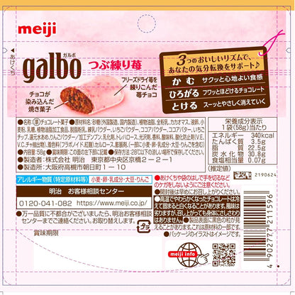 明治 ガルボ つぶ練り苺 パウチ 58g いちご チョコレート お菓子 日本 スナック 溶けにくい 手が汚れない