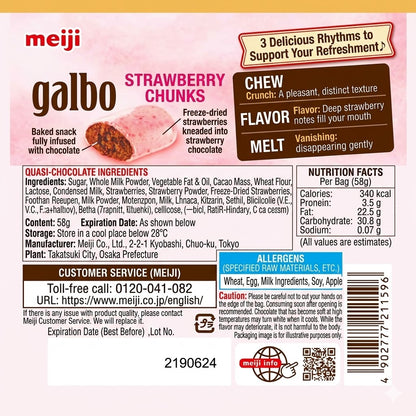 明治 ガルボ つぶ練り苺 パウチ 58g いちご チョコレート お菓子 日本 スナック 溶けにくい 手が汚れない