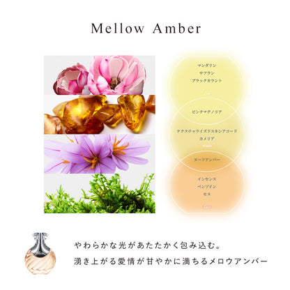 ReFa リファ ザパフューム ヘアミスト 30mL | 選べる3つの香り（メロウアンバー / クリーンムスク / ウォータリースイート） パフュームオイル フレグランスミスト 集中補修 ツヤ保湿 湿気ガード プレゼント ギフト MTG 日本のヘアケア