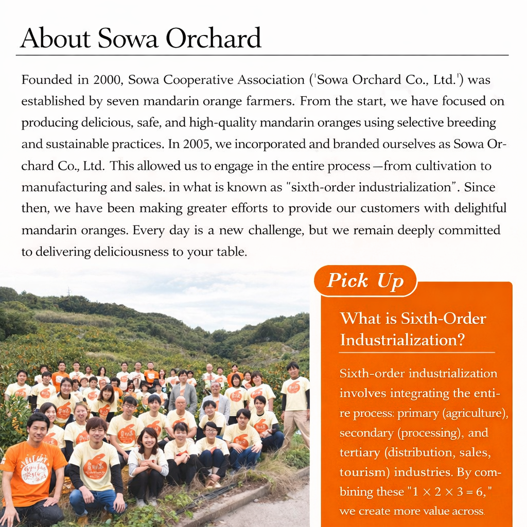 果樹園のなめらかみかんジャム（L）260g　20個セット