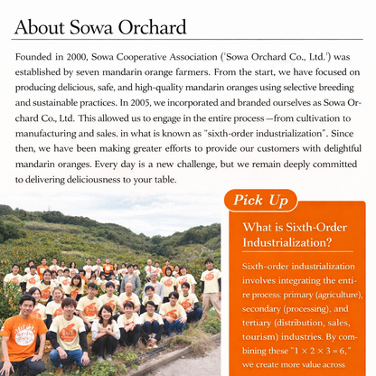 果樹園のなめらかみかんジャム（L）260g　20個セット