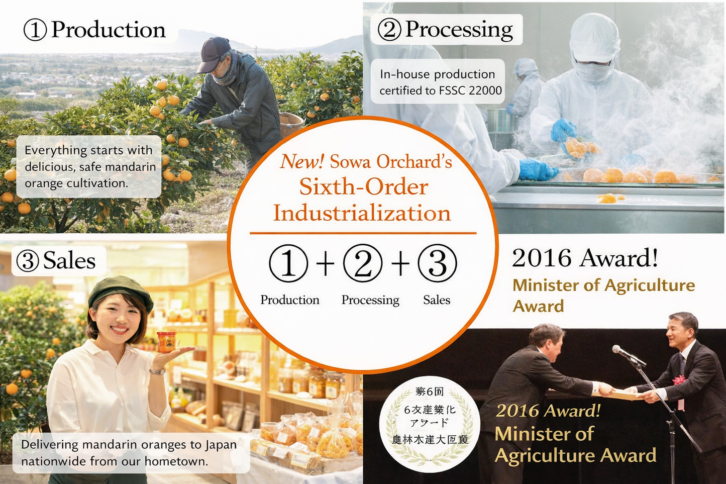 果樹園のなめらかみかんジャム（L）260g　20個セット