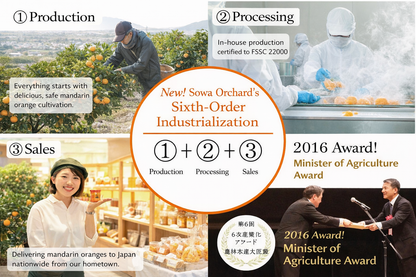 果樹園のなめらかみかんジャム（L）260g　20個セット