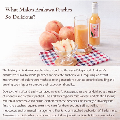 和歌山県 桃山町のあら川のももを使った 桃ドリンク 500ml × 2本セット