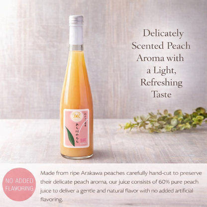 和歌山県 桃山町のあら川のももを使った 桃ドリンク 500ml × 2本セット