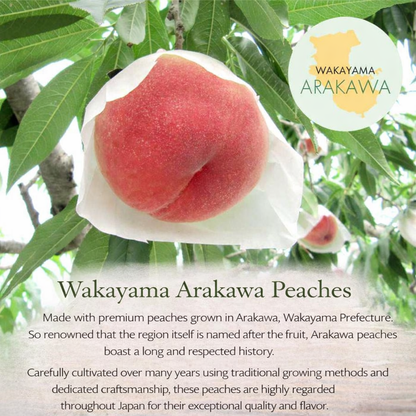 和歌山県 桃山町のあら川のももを使った 桃ドリンク 500ml × 2本セット