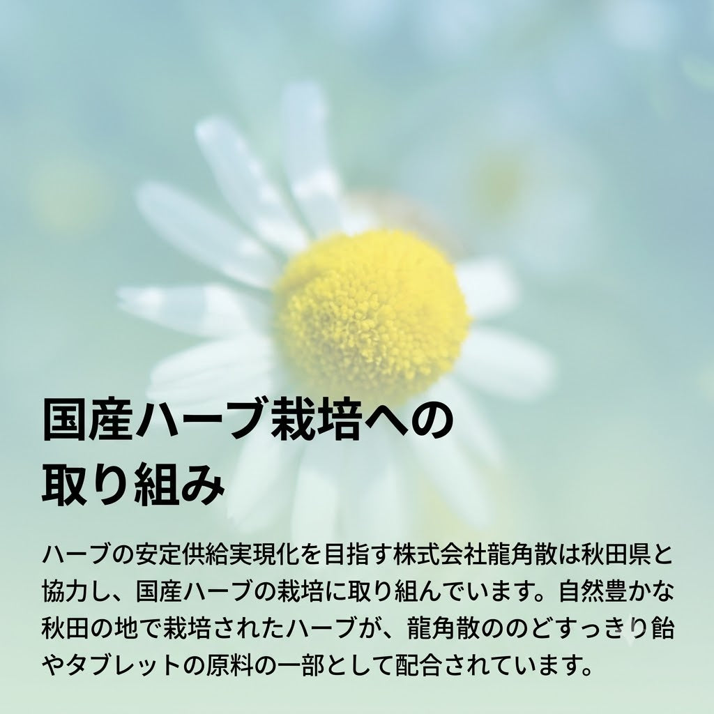 Ryukakusan Throat Refreshing Candy 88g, contains Japanese herb powder, 19 herbal extracts, throat lozenges