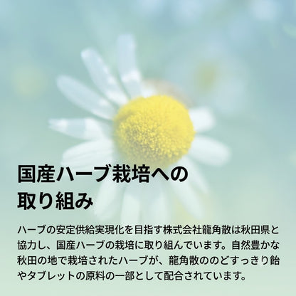 Ryukakusan Throat Refreshing Candy 88g, contains Japanese herb powder, 19 herbal extracts, throat lozenges