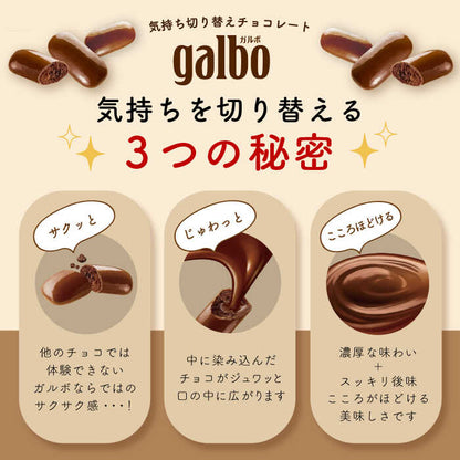 明治 ガルボ チョコ パウチ 59g チョコレート お菓子 日本 スナック 溶けにくい 手が汚れない