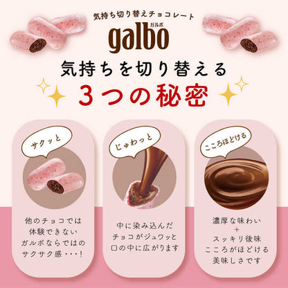 明治 ガルボ つぶ練り苺 パウチ 58g いちご チョコレート お菓子 日本 スナック 溶けにくい 手が汚れない