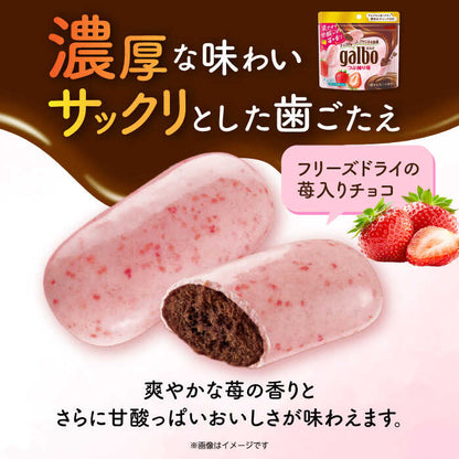 明治 ガルボ つぶ練り苺 パウチ 58g いちご チョコレート お菓子 日本 スナック 溶けにくい 手が汚れない