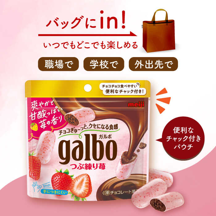 明治 ガルボ つぶ練り苺 パウチ 58g いちご チョコレート お菓子 日本 スナック 溶けにくい 手が汚れない