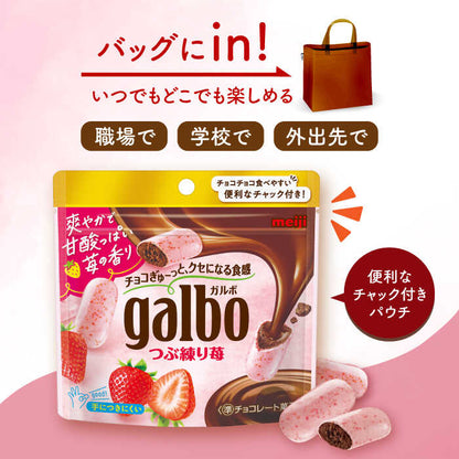 明治 ガルボ つぶ練り苺 パウチ 58g いちご チョコレート お菓子 日本 スナック 溶けにくい 手が汚れない