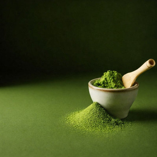 Kyoto Mukashi matcha powder MUKASHI-kyo bulk 1kg
